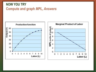 NOW YOU TRY
Compute and graph MPL, Answers
 