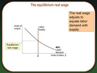 The equilibrium real wage
The real wage
adjusts to
equate labor
demand with
supply.
 