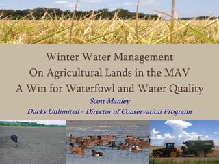 Winter Water Management
On Agricultural Lands in the MAV
A Win for Waterfowl and Water Quality
Scott Manley
Ducks Unlimited - Director of Conservation Programs
 