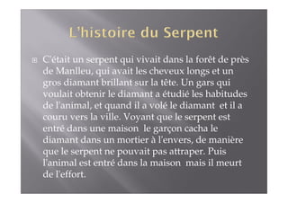 C'était un serpent qui vivait dans la forêt de près 
de Manlleu, qui avait les cheveux longs et un 
gros diamant brillant sur la tête. Un gars qui 
voulait obtenir le diamant a étudié les habitudes 
de l'animal, et quand il a volé le diamant et il a 
couru vers la ville. Voyant que le serpent est 
entré dans une maison le garçon cacha le 
diamant dans un mortier à l'envers, de manière 
que le serpent ne pouvait pas attraper. Puis 
l'animal est entré dans la maison mais il meurt 
de l'effort. 
 