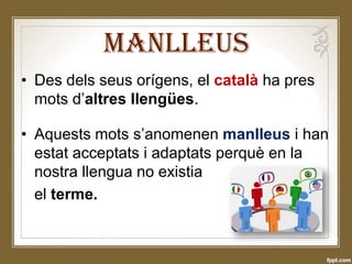 manlleus-i-neologismes-pdf