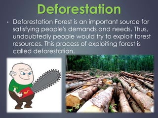 Deforestation 
• Deforestation Forest is an important source for 
satisfying people's demands and needs. Thus, 
undoubtedly people would try to exploit forest 
resources. This process of exploiting forest is 
called deforestation. 
 