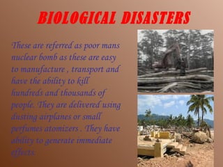 BIOLOGICAL DISASTERS These are referred as poor mans nuclear bomb as these are easy to manufacture , transport and have the ability to kill hundreds and thousands of people. They are delivered using dusting airplanes or small perfumes atomizers . They have ability to generate immediate effects. 