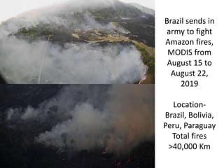 Brazil sends in
army to fight
Amazon fires,
MODIS from
August 15 to
August 22,
2019
Location-
Brazil, Bolivia,
Peru, Paraguay
Total fires
>40,000 Km
 