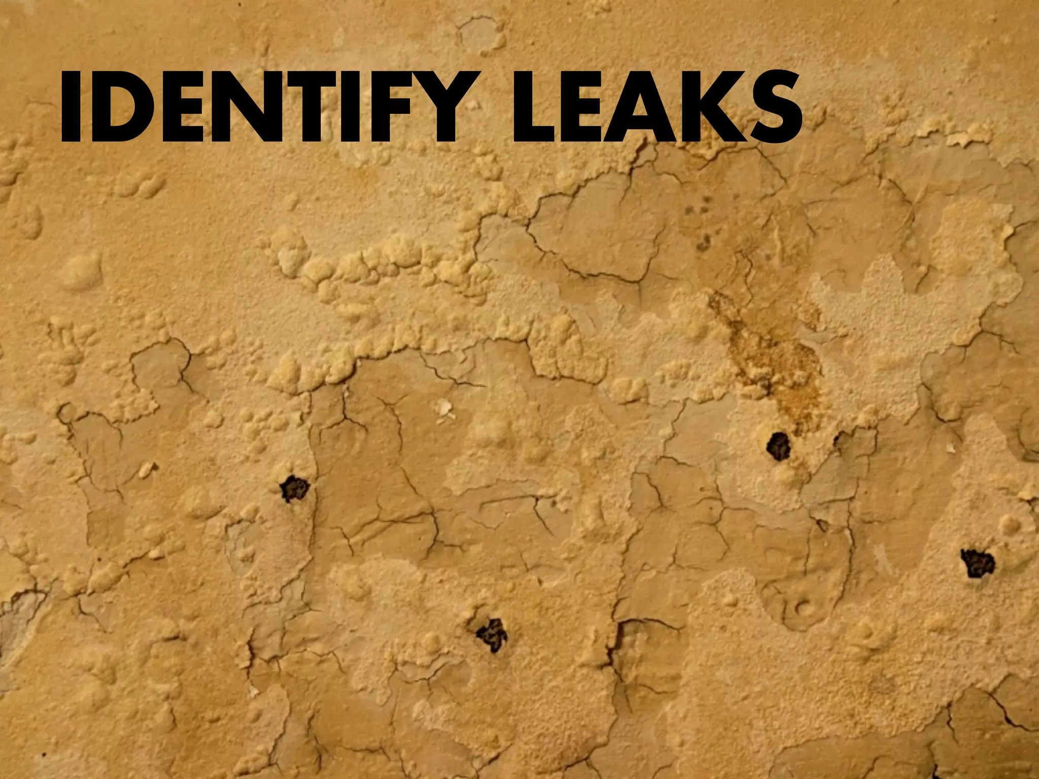 IDENTIFY LEAKS
 