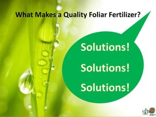 What Makes a Quality Foliar Fertilizer?
 