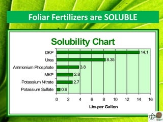 Foliar Fertilizers are SOLUBLE

                  Solubility Chart
               DKP                                                   14.1
               Urea                                    8.35
Ammonium Phosphate                     3.8
               MKP               2.8
   Potassium Nitrate             2.7
   Potassium Sulfate       0.6

                       0     2     4         6     8      10   12   14   16
                                             Lbs per Gallon
 