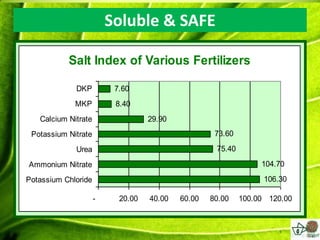 Soluble & SAFE

           Salt Index of Various Fertilizers

             DKP          7.60
             MKP          8.40
   Calcium Nitrate                 29.90
 Potassium Nitrate                                  73.60

             Urea                                   75.40

Ammonium Nitrate                                                 104.70

Potassium Chloride                                                106.30

                     -     20.00   40.00   60.00   80.00    100.00 120.00
 