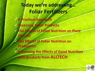Today we’re addressing…
         Foliar Fertilizers
 A Practical Approach
 Assessing Foliar Products
 The Effects of Foliar Nutrition on Plant
  Disease
 The Effects of Foliar Nutrition on
  Production
 Enhancing the Effects of Good Nutrition
  with products from ALLTECH
 
