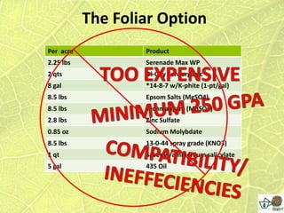 The Foliar Option
Per acre           Product
2.25 lbs           Serenade Max WP
2 qts              Di-Oxy Solv organic
8 gal              *14-8-7 w/K-phite (1-pt/gal)
8.5 lbs            Epsom Salts (MgSO4)
8.5 lbs            Techmangam (MnSO4)
2.8 lbs            Zinc Sulfate
0.85 oz            Sodium Molybdate
8.5 lbs            13-0-44 spray grade (KNO3)
1 qt               Saver w/ammonium salicylate
5 gal              435 Oil
 