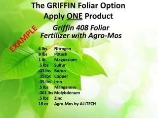 The GRIFFIN Foliar Option
   Apply ONE Product
      Griffin 408 Foliar
  Fertilizer with Agro-Mos
 4 lbs    Nitrogen
 8 lbs    Potash
 1 lb     Magnesium
 .5 lbs Sulfur
 .03 lbs Boron
 .05 lbs Copper
 .05 lbs Iron
 .5 lbs Manganese
 .001 lbs Molybdenum
 .5 lbs Zinc
 16 oz Agro-Mos by ALLTECH
 