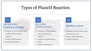 Drug metabolism phase 1 and phase 2 introduction with types | PPTX