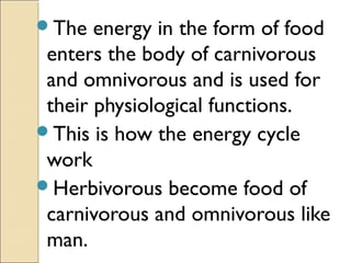The energy in the form of food
enters the body of carnivorous
and omnivorous and is used for
their physiological functions.
This is how the energy cycle
work
Herbivorous become food of
carnivorous and omnivorous like
man.
 