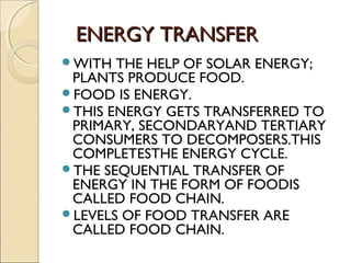 ENERGY TRANSFERENERGY TRANSFER
WITH THE HELP OF SOLAR ENERGY;
PLANTS PRODUCE FOOD.
FOOD IS ENERGY.
THIS ENERGY GETS TRANSFERRED TO
PRIMARY, SECONDARYAND TERTIARY
CONSUMERS TO DECOMPOSERS.THIS
COMPLETESTHE ENERGY CYCLE.
THE SEQUENTIAL TRANSFER OF
ENERGY IN THE FORM OF FOODIS
CALLED FOOD CHAIN.
LEVELS OF FOOD TRANSFER ARE
CALLED FOOD CHAIN.
 