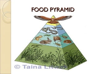 FOOD PYRAMIDFOOD PYRAMID
 