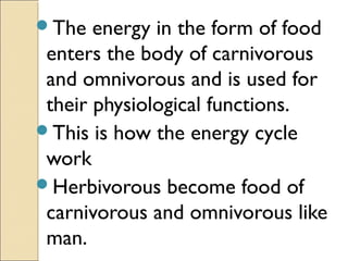 The energy in the form of food
enters the body of carnivorous
and omnivorous and is used for
their physiological function...