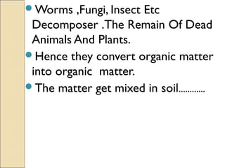 Worms ,Fungi, Insect Etc
Decomposer .The Remain Of Dead
Animals And Plants.
Hence they convert organic matter
into organ...
