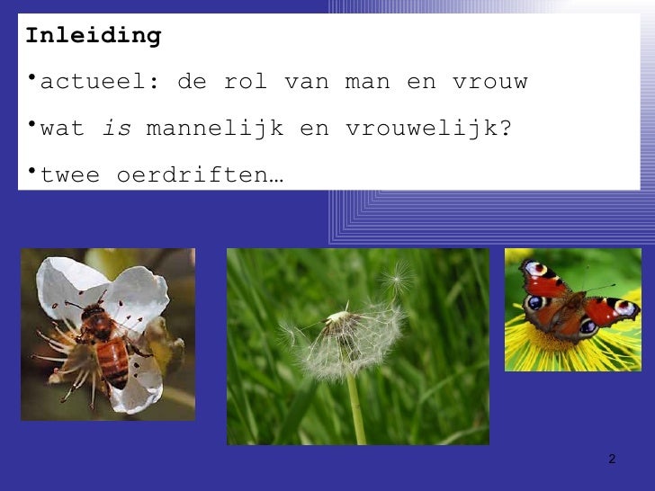 Wanneer Mannelijk Of Vrouwelijk Frans Bloemen Wanneer Mannelijk Of Vrouwelijk Frans Bloemen
