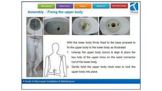 Mannequin Installaitonguidelines Pdf