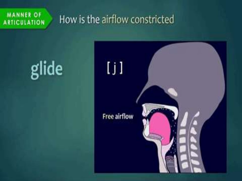 Manner ofarticulationglides