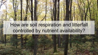 How are soil respiration and litterfall
controlled by nutrient availability?
 