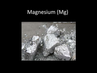 Magnesium (Mg)
 