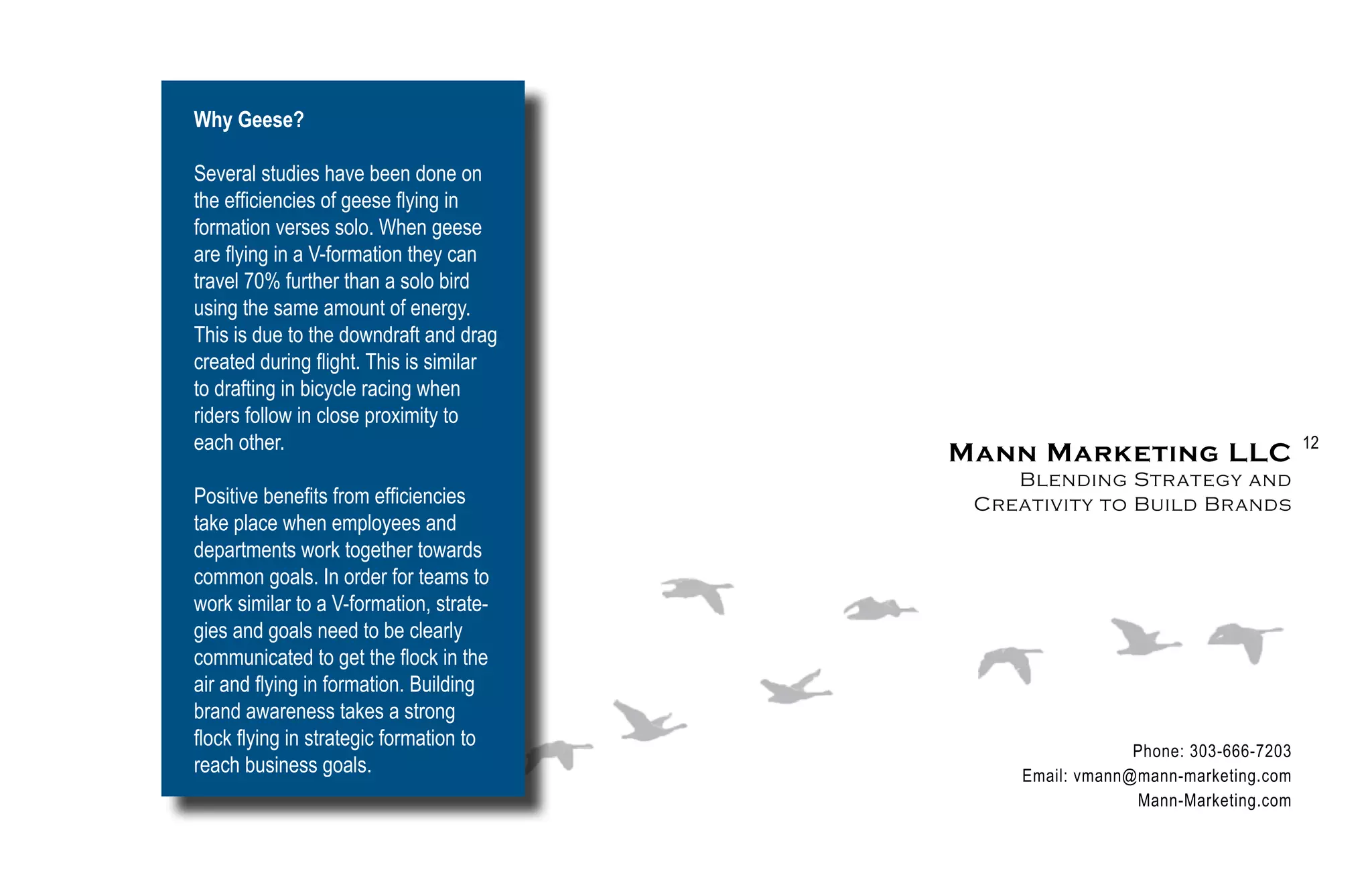 Why Geese?

Several studies have been done on
the efficiencies of geese flying in
formation verses solo. When geese
are flying in a V-formation they can
travel 70% further than a solo bird
using the same amount of energy.
This is due to the downdraft and drag
created during flight. This is similar
to drafting in bicycle racing when
riders follow in close proximity to
each other.                                                                     12
                                         Mann Marketing LLC
                                             Blending Strategy and
Positive benefits from efficiencies       Creativity to Build Brands
take place when employees and
departments work together towards
common goals. In order for teams to
work similar to a V-formation, strate-
gies and goals need to be clearly
communicated to get the flock in the
air and flying in formation. Building
brand awareness takes a strong
flock flying in strategic formation to
                                                          Phone: 303-666-7203
reach business goals.                        Email: vmann@mann-marketing.com
                                                          Mann-Marketing.com
 