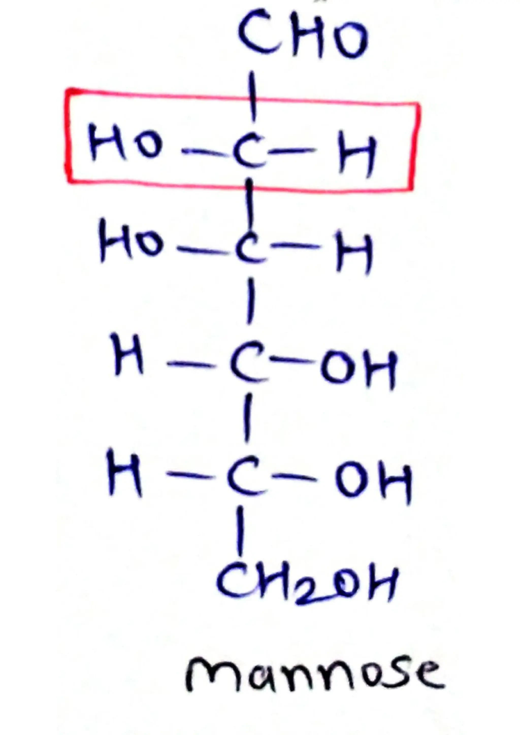 Mannose PDF