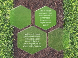 Soil Sampling Techniques and Soil Health Management | PPTX