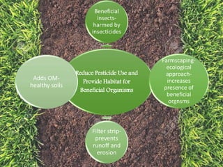 Soil Sampling Techniques and Soil Health Management | PPTX