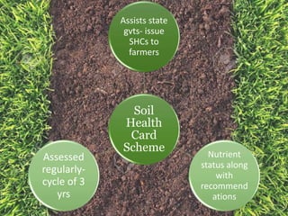 Soil Sampling Techniques and Soil Health Management | PPTX