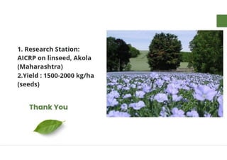 Mannu Kumar Production technology of Linseed Rabi crop.(Agronomy ) | PDF