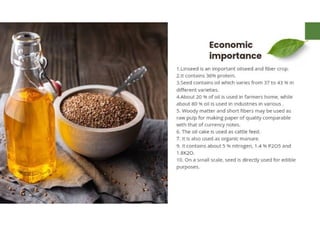 Mannu Kumar Production technology of Linseed Rabi crop.(Agronomy ) | PDF