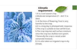 Mannu Kumar Production technology of Linseed Rabi crop.(Agronomy ) | PDF