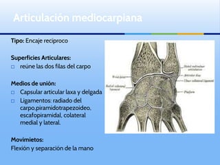 Tipo: Encaje recíproco
Superficies Articulares:
⬜ reúne las dos filas del carpo
Medios de unión:
⬜ Capsular articular laxa y delgada
⬜ Ligamentos: radiado del
carpo,piramidotrapezoideo,
escafopiramidal, colateral
medial y lateral.
Movimietos:
Flexión y separación de la mano
Articulación mediocarpiana
 