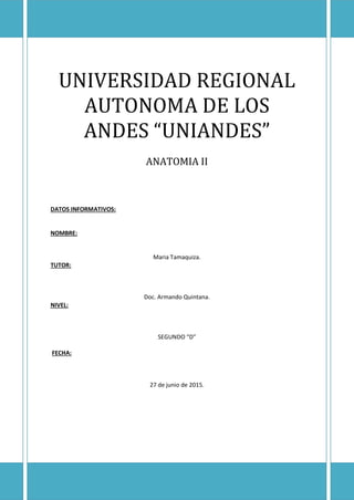 UNIVERSIDAD REGIONAL
AUTONOMA DE LOS
ANDES “UNIANDES”
ANATOMIA II
DATOS INFORMATIVOS:
NOMBRE:
Maria Tamaquiza.
TUTOR:
Doc. Armando Quintana.
NIVEL:
SEGUNDO “D”
FECHA:
27 de junio de 2015.
 