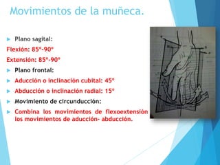 ARTICULACIONES DE LA MANO | PPTX
