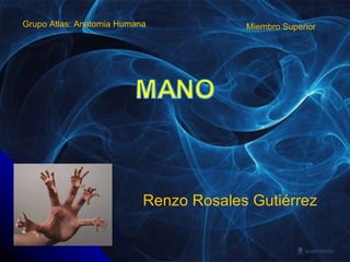 Renzo Rosales Gutiérrez Grupo Atlas: Anatomia Humana  Miembro Superior 
