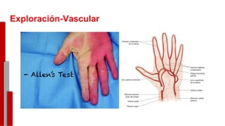 Exploración-Vascular
-
 