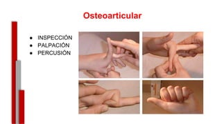 Osteoarticular
● INSPECCIÓN
● PALPACIÓN
● PERCUSIÓN
-
 
