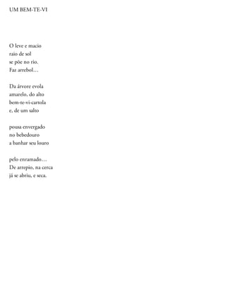 UM BEM-TE-VI
O leve e macio
raio de sol
se põe no rio.
Faz arrebol…
Da árvore evola
amarelo, do alto
bem-te-vi-cartola
e, de um salto
pousa envergado
no bebedouro
a banhar seu louro
pelo enramado…
De arrepio, na cerca
já se abriu, e seca.
 
