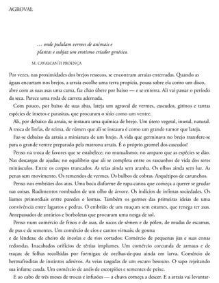 AGROVAL
… onde pululam vermes de animais e
plantas e subjaz um erotismo criador genésico.
M. CAVALCANTI PROENÇA
Por vezes, nas proximidades dos brejos ressecos, se encontram arraias enterradas. Quando as
águas encurtam nos brejos, a arraia escolhe uma terra propícia, pousa sobre ela como um disco,
abre com as suas asas uma cama, faz chão úbere por baixo — e se enterra. Ali vai passar o período
da seca. Parece uma roda de carreta adernada.
Com pouco, por baixo de suas abas, lateja um agroval de vermes, cascudos, girinos e tantas
espécies de insetos e parasitas, que procuram o sítio como um ventre.
Ali, por debaixo da arraia, se instaura uma química de brejo. Um útero vegetal, insetal, natural.
A troca de linfas, de reima, de rúmen que ali se instaura é como um grande tumor que lateja.
Faz-se debaixo da arraia a miniatura de um brejo. A vida que germinava no brejo transfere-se
para o grande ventre preparado pela matrona arraia. É o próprio gromel dos cascudos!
Penso na troca de favores que se estabelece; no mutualismo; no amparo que as espécies se dão.
Nas descargas de ajudas; no equilíbrio que ali se completa entre os rascunhos de vida dos seres
minúsculos. Entre os corpos truncados. As teias ainda sem aranha. Os olhos ainda sem luz. As
penas sem movimento. Os remendos de vermes. Os bulbos de cobras. Arquétipos de carunchos.
Penso nos embriões dos atos. Uma boca disforme de rapa-canoa que começa a querer se grudar
nas coisas. Rudimentos rombudos de um olho de árvore. Os indícios de ínfimas sociedades. Os
liames primordiais entre paredes e lesmas. Também os germes das primeiras ideias de uma
convivência entre lagartos e pedras. O embrião de um muçum sem estames, que renega ter asas.
Antepassados de antúrios e borboletas que procuram uma nesga de sol.
Penso num comércio de frisos e de asas, de sucos de sêmen e de pólen, de mudas de escamas,
de pus e de sementes. Um comércio de cios e cantos virtuais; de gosma
e de lêndeas; de cheiro de íncolas e de rios cor​tados. Comércio de pequenas jias e suas conas
redondas. Inacabados orifícios de tênias implumes. Um comércio corcunda de armaus e de
traças; de folhas recolhidas por formigas; de orelhas-de-pau ainda em larva. Comércio de
hermafroditas de instintos adesivos. As veias rasgadas de um escuro besouro. O sapo rejeitando
sua infame cauda. Um comércio de anéis de escorpiões e sementes de peixe.
E ao cabo de três meses de trocas e infusões — a chuva começa a descer. E a arraia vai levantar-
 