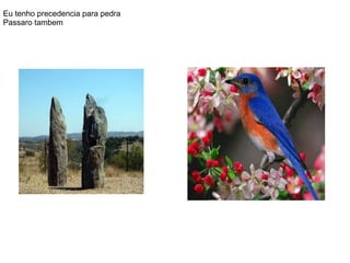 Eu tenho precedencia para pedra
Passaro tambem
 