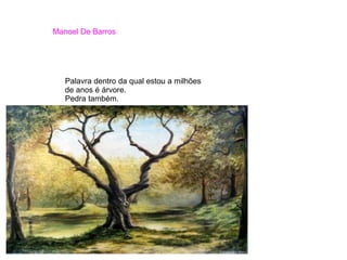 Manoel De Barros
Palavra dentro da qual estou a milhões
de anos é árvore.
Pedra também.
 
