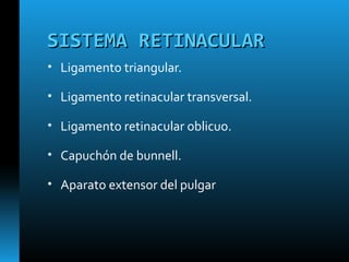 SISTEMA RETINACULARSISTEMA RETINACULAR
• Ligamento triangular.
• Ligamento retinacular transversal.
• Ligamento retinacular oblicuo.
• Capuchón de bunnell.
• Aparato extensor del pulgar
 