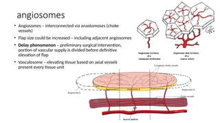 Plastic surgery introduction (Grafts and Flaps).pptx