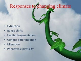 7 February 2017 Dept. Genetics And Plant Breeding 10
Responses to changing climate
• Extinction
• Range shifts
• Habitat fragmentation
• Genetic differentiation
• Migration
• Phenotypic plasticity
 