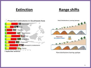 Extinction Range shifts
11
Plant distributions leaning upslope
 