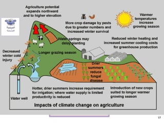 PREDICTED CLIMATE CHANGE
IMPACTS ON AGRICULTURE
Direct effect on
cropgrowth
•Physiology
•Morphology
Indirect effects
•Soil Fertility
•Irrigation availability
•Pest
•Flood & droughts
Socio economic
•Policy
•Trade
•Farmer’s
response
Human interventions
Adaptation strategies
Mitigation strategies
Agricultural Production &
vulnerability
CLIMATE CHANGE
17
 