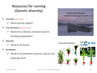 Resources for running
(Genetic diversity)
Global Safety Backup
Svalbard Global Seed Vault
O.minutaO.
alta
O.ridleyiO.officinalis
O.brachyanta O.longistaminataO.rufipogon
Crop wild relatives
 Gene banks (static source)
 Need ongoing support
 Crop wild relatives (dynamic source)
 Need to be collected, evaluated, used in
breeding programmes
 Information
 Needs to be shared
 Diversification
 Needs to be promoted at genetic, species and
landscape level
7 February 2017 20Dept. Genetics And Plant Breeding
 